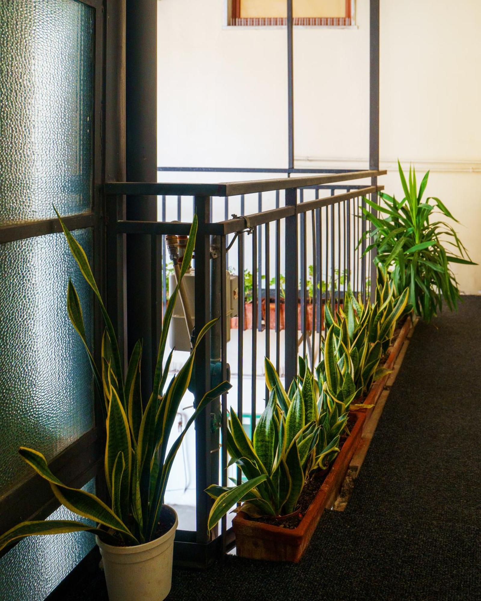 Apartment Chiatamone Relais